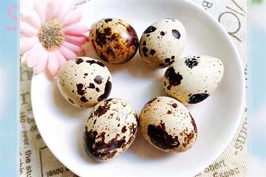园内美食