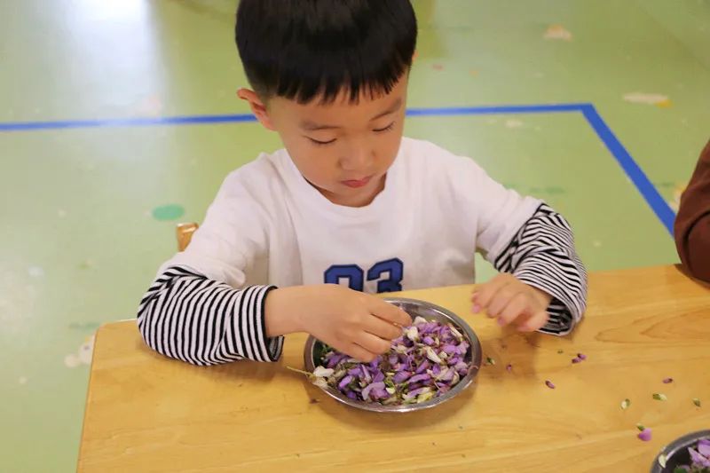 商丘市智谷幼儿园：分享如何选择适合孩子的幼儿园？