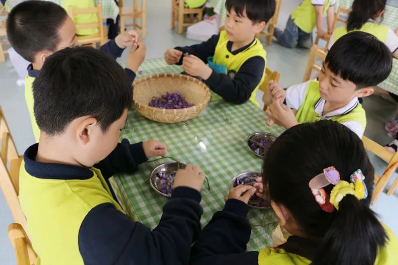 商丘智谷幼儿园 讲解告诉您学校怎么选？