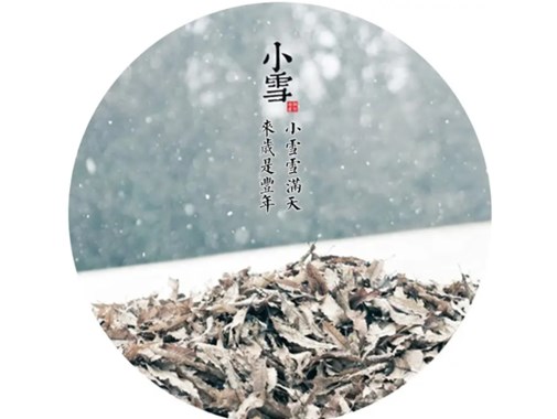 小雪到 冬始俏——商丘市智谷幼儿园邀您一起了解二十四节气之小雪