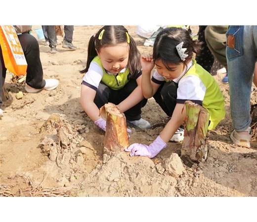 “金秋生趣 乐享丰收”趣秋游自然研学大型亲子活动——商丘市智谷幼儿园